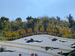 -西双版纳原始森林公园