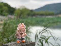 -南北湖风景区