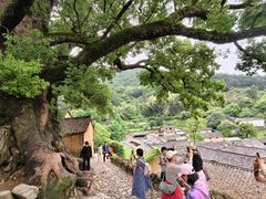 -杨家堂村