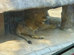 -北京野生动物园