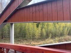 -黄海国家森林公园