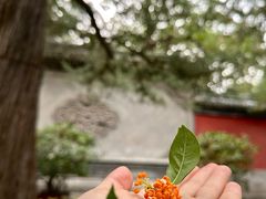 -颐和园