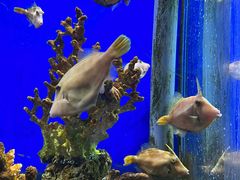 -海合安武汉极地海洋公园