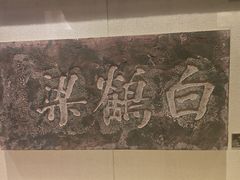 -白鹤梁水下博物馆