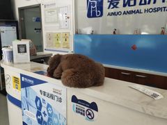 -爱诺动物医院(崂山店)