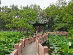 -房湖公园