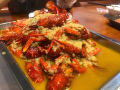 -杨氏青龙虾·羊蝎子(托乐嘉店)