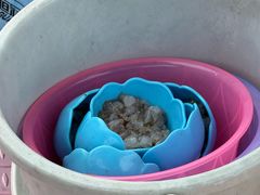 -小猫钓鱼海钓俱乐部(椰梦长廊店)