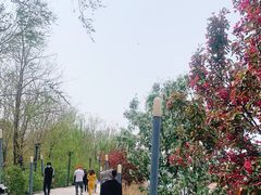 -长白岛森林公园