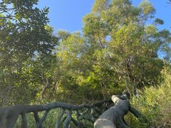 -梧桐山风景名胜区