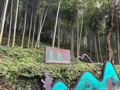 -莫干山风景区