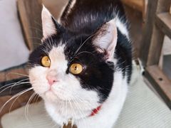 -创艺无限·赵春香微妙艺术馆