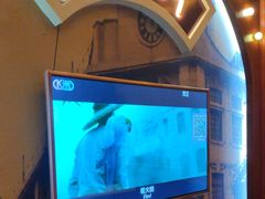 -骑士KTV(红谷滩万达店)