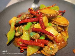 辣炒小鲍鱼-船歌·鱼水饺青岛菜(金狮广场店)