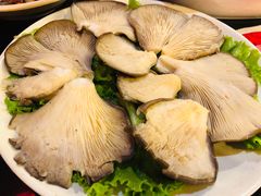 -芦月轩羊蝎子(太平桥店)