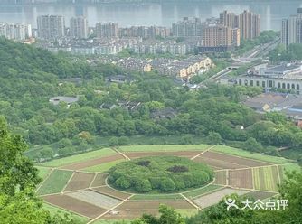 辣椒，还有刚开敗的油菜花。过来