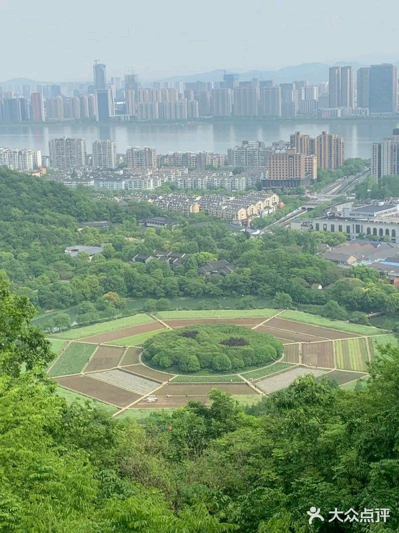 辣椒，还有刚开敗的油菜花。过来