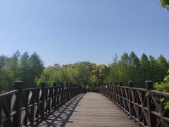 -自然谷恐龙园