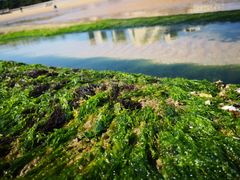 -日照灯塔风景区