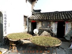 -祁门牯牛降观音堂风景区