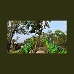 -恐龙探索乐园(磁器口店)