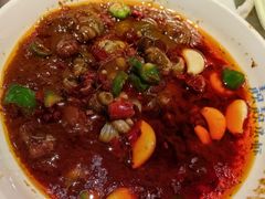 -靓靓蒸虾·头牌蒸虾(南山桂庙店)