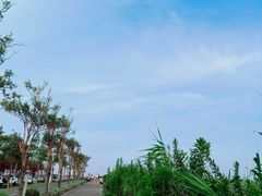 -南汇新城海滩