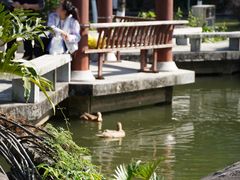 -广州神农草堂中医药博物馆