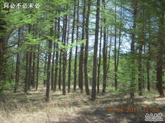 -塞罕坝国家级自然保护区