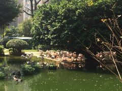 -九龙公园