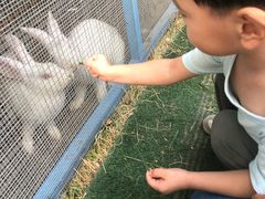 -廊坊固安福朋喜来登酒店
