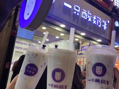 -一只酸奶牛(八一路店)