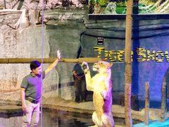-清迈夜间动物园