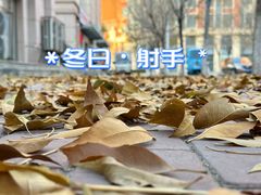 -花里花店(唐镇阳光天地店)