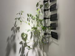 -the fall kaffe乐否咖啡