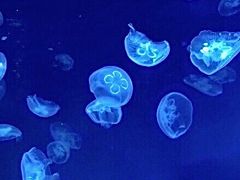 -常州海昌海洋探索馆