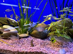 -上海海洋水族馆