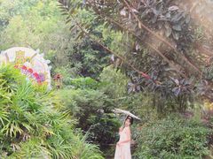 -江门古兜温泉小镇