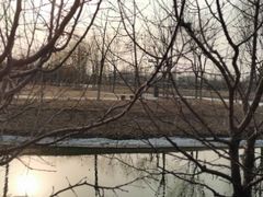-东郊湿地公园
