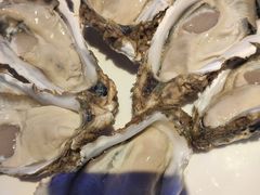 -千岛蚝高压锅生蚝·人参火锅(白云万达店)