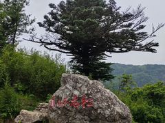 -牛背梁国家森林公园