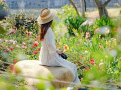 -人民公园(罗湖区)