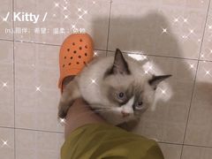 -宠福鑫康馨动物医院·骨科·眼科