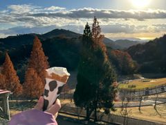 -神户市立六甲山牧场