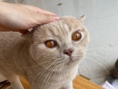 -Catmate·猫肥家润(金润铂宫店)