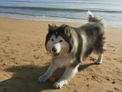 -东戴河风景区-止锚湾