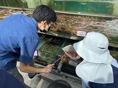 -双天海鲜楼 · 43年老字号
