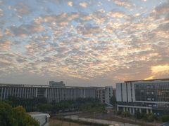 -广东金融学院(校本部)