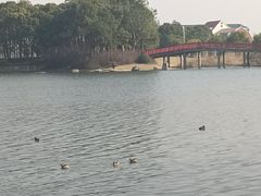 -美兰湖景区