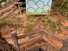 -栾川竹海野生动物园